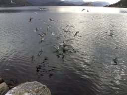 Norwegen 2008 Rundereim